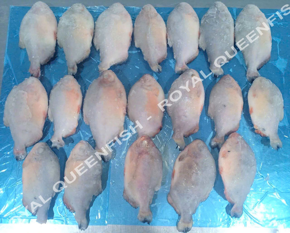 pacuIQF_80%net