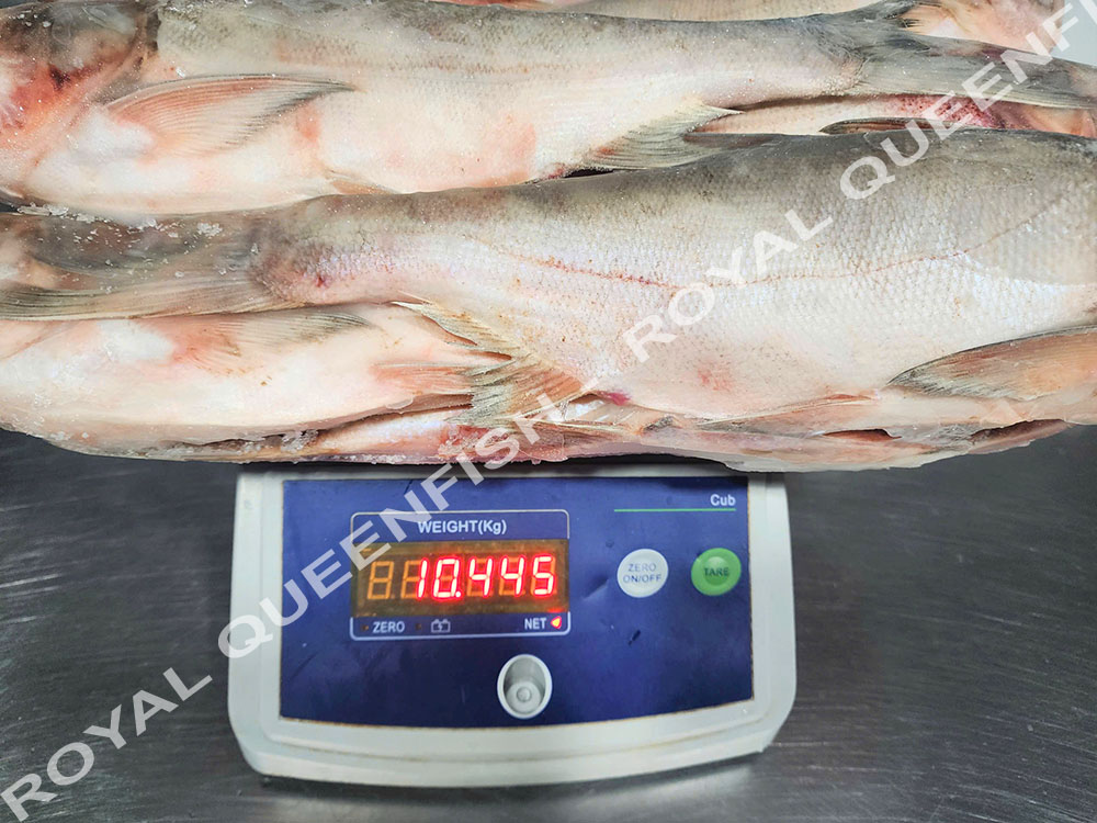 silvercarp_100%NW